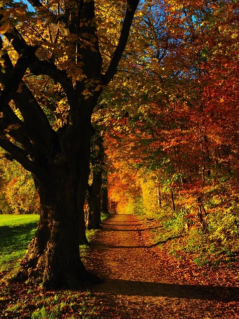 Panoramic Hiking Trails